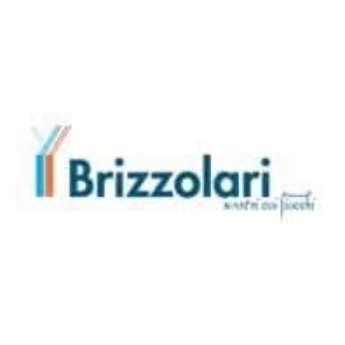 Immagine per il produttore BRIZZOLARI