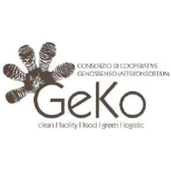 Immagine per il produttore GekoClean