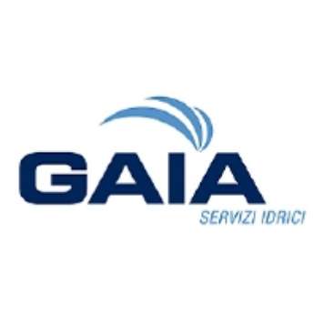 Immagine per il produttore Gaia