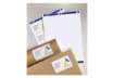 Immagine di Etichette bianche per indirizzi AVERY Ultragrip™ 199,6x143,5 mm - 2 et/foglio stampanti laser cf. 10