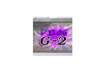 Immagine di Penna gel a scatto Pilot Gel G-2 0,7 mm nero Value Pack 16+4 GRATIS - 000017