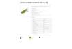 Immagine di Cucitrice a pinza Rapid S51 SUPREME Soft Grip fino a 15 fogli verde 10538740