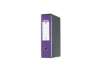 Immagine di Registratore con custodia Esselte G55 Eurofile protocollo dorso 8 cm cartone rivestito in PP  lilla
