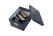 Immagine di Scatola per archiviazione universale ''M'' Leitz CLICK & STORE nero 28,1x20x37 cm - 60440095