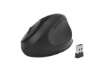 Immagine di Mouse Wireless Pro Fit® Ergo Kensington nero K75404EU
