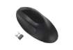 Immagine di Mouse Wireless Pro Fit® Ergo Kensington nero K75404EU