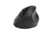 Immagine di Mouse Wireless Pro Fit® Ergo Kensington nero K75404EU