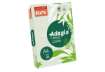 Immagine di Carta colorata A4 Sylvamo Rey Adagio 160 g/m² verde - Risma da 250 fogli - ADAGI160X456