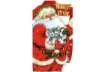 Immagine di Chiudipacco natalizi con filo - soggetto ''Babbo Natale'' - 4,5x8 cm - conf. 12 pezzi Biembi - BAP20
