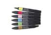 Immagine di Pennarelli Winsor&Newton Promarker doppia punta fine-larga - conf. 6 pz colori tenui assortiti - 029