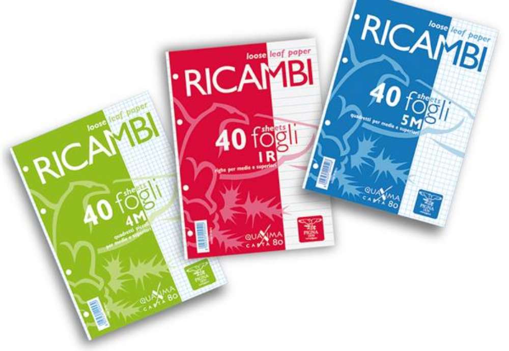 Immagine di Ricambi forati Quaxima - A4 - 5 mm c/margine - 80 gr - Pigna - conf. 40 pezzi