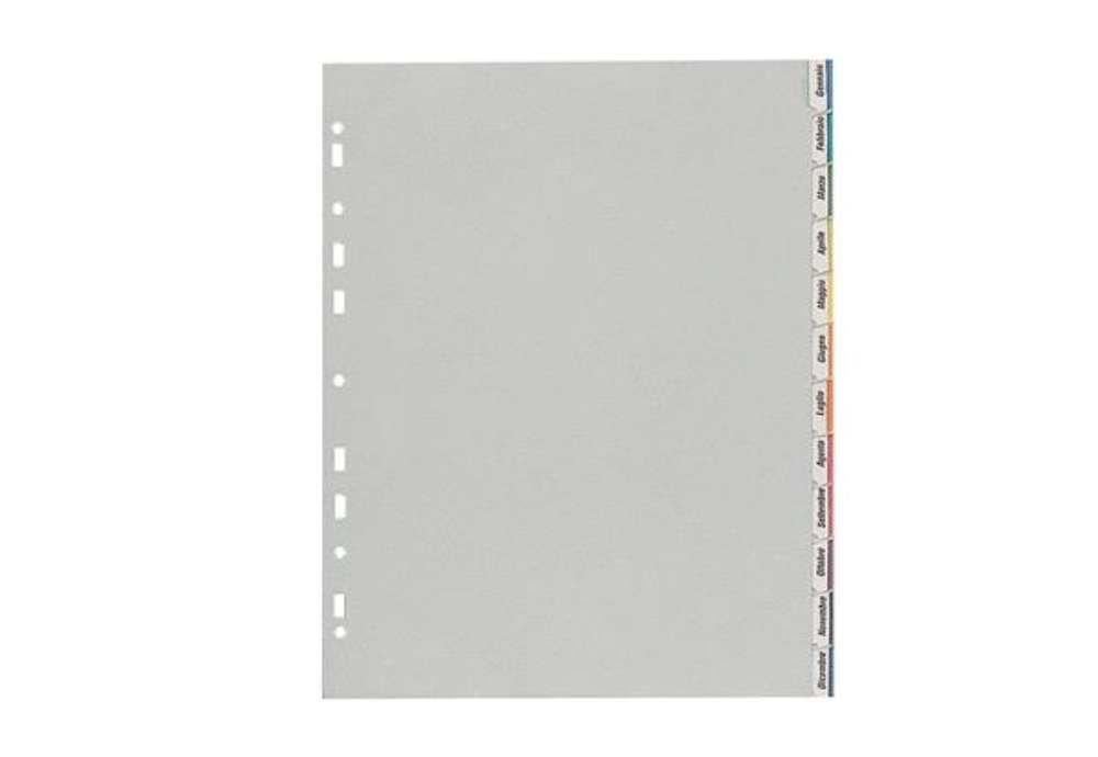Immagine di Separatore - 12 tacche personalizzabili - PP - 22x30 cm - grigio - Favorit