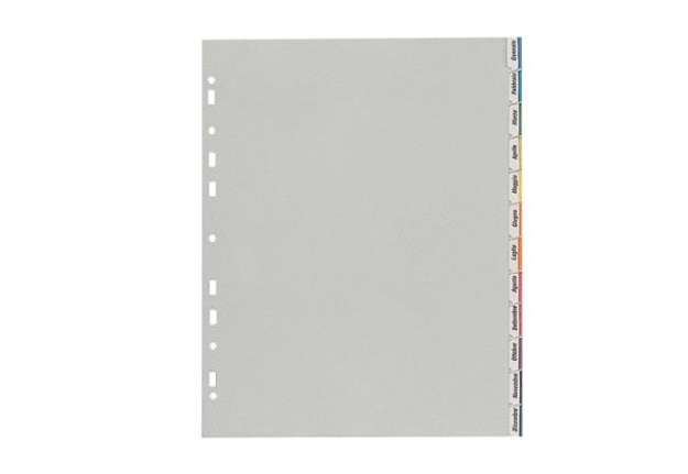 Immagine di Separatore - 12 tacche personalizzabili - PP - 22x30 cm - grigio - Favorit
