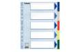 Immagine di Separatore - 5 tasti colorati - PP - A4 maxi - 24,5x29,7 cm - multicolore - Esselte