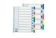 Immagine di Separatore - 10 tasti colorati - PP - A4 maxi - 24,5x29,7 cm - multicolore - Esselte