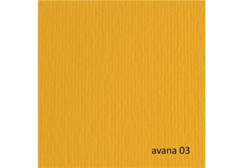 Immagine di Cartoncino Elle Erre - 50 x 70 cm - 220 gr - avana 103 - Fabriano - blister 20 fogli
