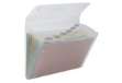 Immagine di Portadocumenti a soffietto Ice - 6 tasche - 22 x 30 cm - PP - trasparente - Rexel