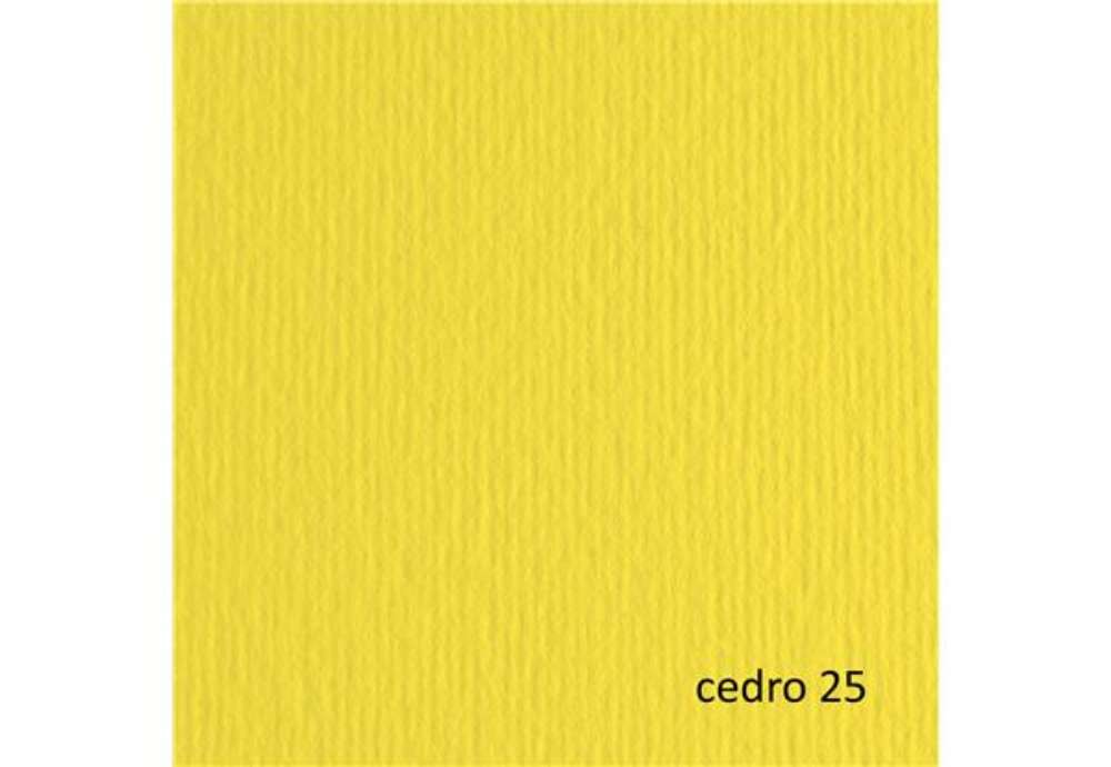 Immagine di Cartoncino Elle Erre - 50 x 70 cm - 220 gr - cedro 25 - Fabriano - blister 20 fogli