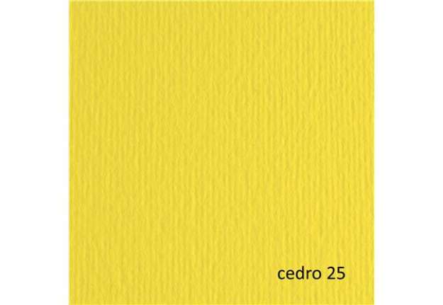 Immagine di Cartoncino Elle Erre - 50x70cm - 220gr - cedro 25 - Fabriano - blister 20 fogli