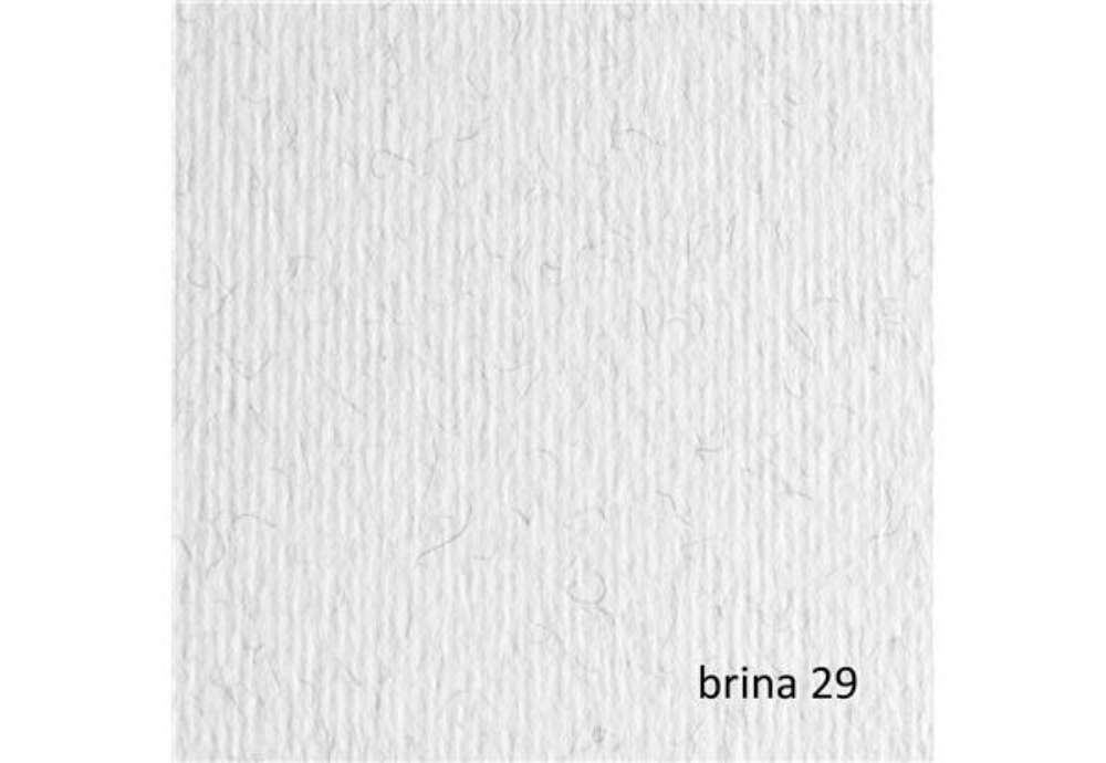 Immagine di Cartoncino Elle Erre - 50 x 70 cm - 220 gr - brina 29 - Fabriano - blister 20 fogli