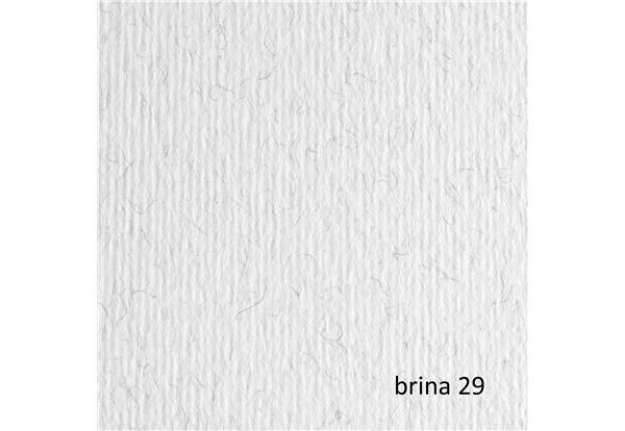 Immagine di Cartoncino Elle Erre - 70x100cm - 220gr - brina 129 - Fabriano - blister 10 fogli