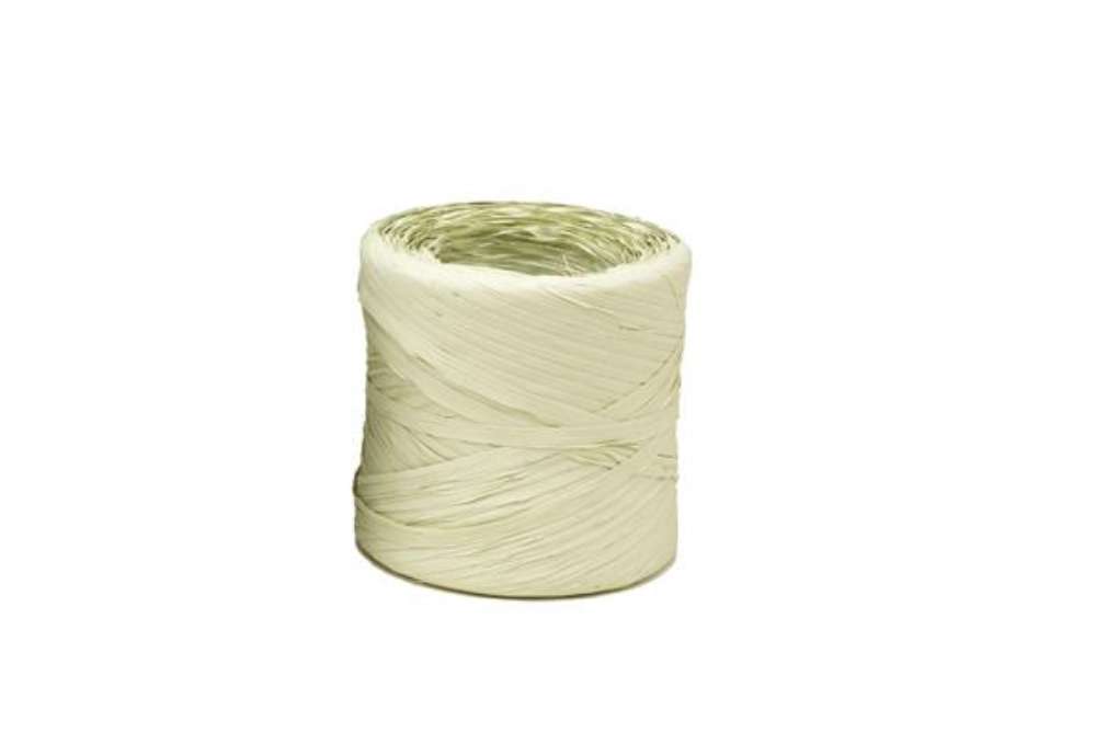 Immagine di Nastro Raphia Vintage - verde nilo 62 - 200mt - Bolis