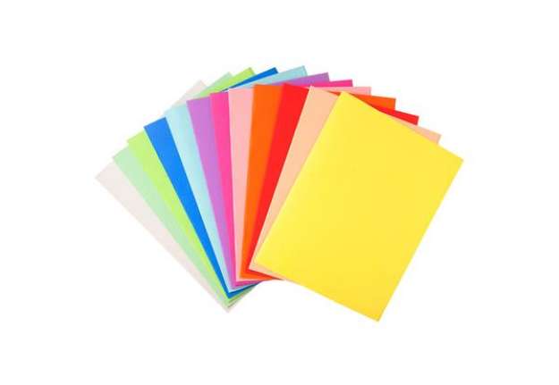 Immagine di Cartelline semplici Forever - 220 gr - 24x32 cm - mix 10 colori - Exacompta - conf. 100 pezzi