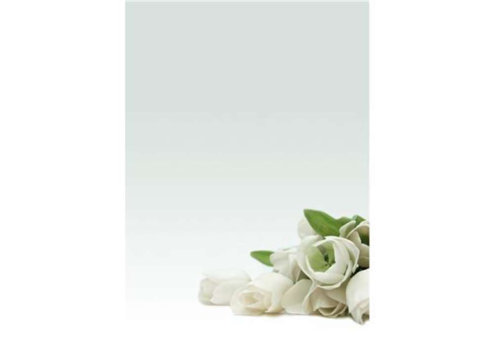 Immagine di Carta con stampa "rosa bianca" - A4 - 90 gr - Decadry - conf. 20 fogli