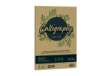 Immagine di Carta Calligraphy Nature Crush - A4 - 120 gr - verde oliva - Favini - conf. 50 fogli