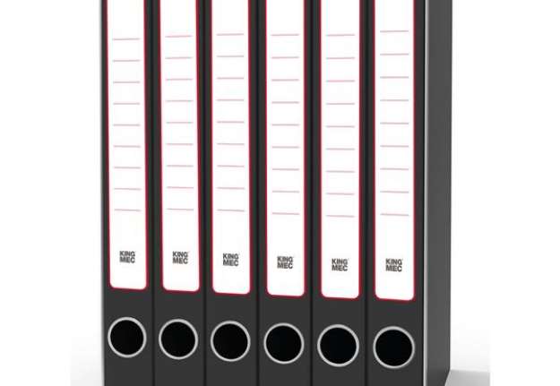 Immagine di Gruppo registratori Sestetto - con 6 cartelle 3 lembi - 25,5x34,5 cm - dorso 23 cm - grigio - Rexel