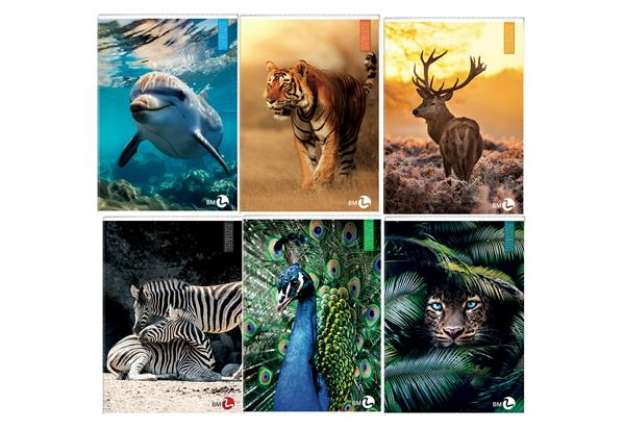 Immagine di Maxiquaderno Animal fantasia - A4 - 40+2 fogli - 80gr - 1rigo c/margine - BM