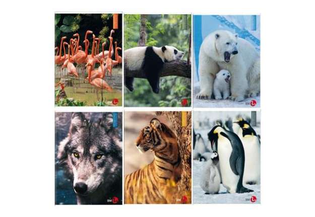 Immagine di Maxiquaderno Animal fantasia - A4 - 40+2 fogli - 80gr - 10mm - BM