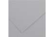 Immagine di Foglio Colorline - 70x100 cm - 220 gr - grigio chiaro - Canson