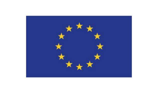 Immagine di Bandiera Europa - 100 x 150 cm - poliestere nautico