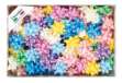 Immagine di Stelle di nastro liscio 6800 - 14 mm - diam. 6,5cm - colori primaverili assortiti - Brizzolari - con