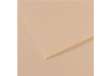 Immagine di Foglio Mi-Teintes - A4 - 160 gr - conchiglia - Canson