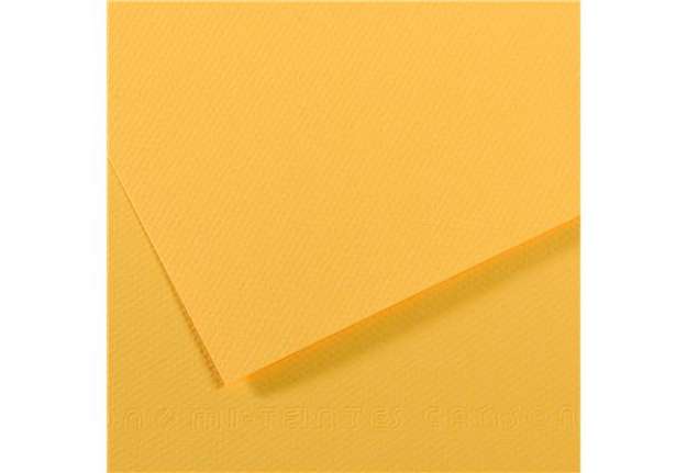 Immagine di Foglio Mi-Teintes - A4 - 160 gr - botton d'oro - Canson