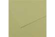 Immagine di Foglio Mi-Teintes - A4 - 160 gr - verde mandorla - Canson