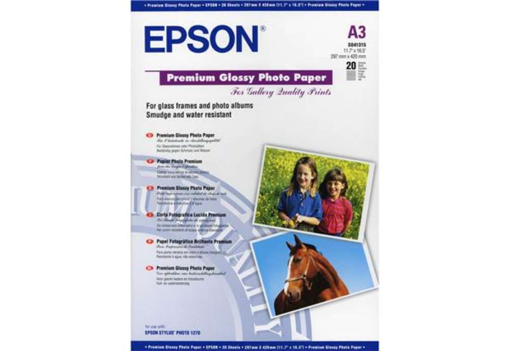 Immagine di Epson - Carta fotografica lucida Premium - C13S041315