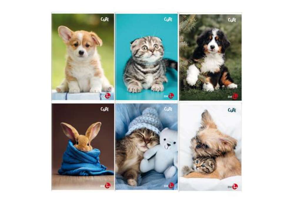 Immagine di Maxiquaderno Cute fantasia - A4 - rigo di 1a - 40+2 fogli - 80gr - BM