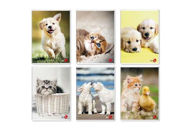 Immagine di Maxiquaderno Cute fantasia - A4 - 40+2 fogli - 80gr - 4mm - BM