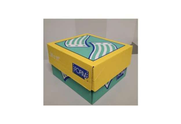 Immagine di Moduli continui ''CARTA BIANCA'' Form 60 g/m² piste staccabili senza stampa scatola da 2000 moduli -