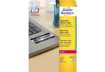 Immagine di Etichette permanenti poliestere argento Avery 210x297 mm - 1 et/foglio - laser monocolore - conf. 20