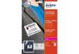 Immagine di Badge adesivi in seta acetata AVERY 63,5x29,6 mm 20 fogli - L4784-20