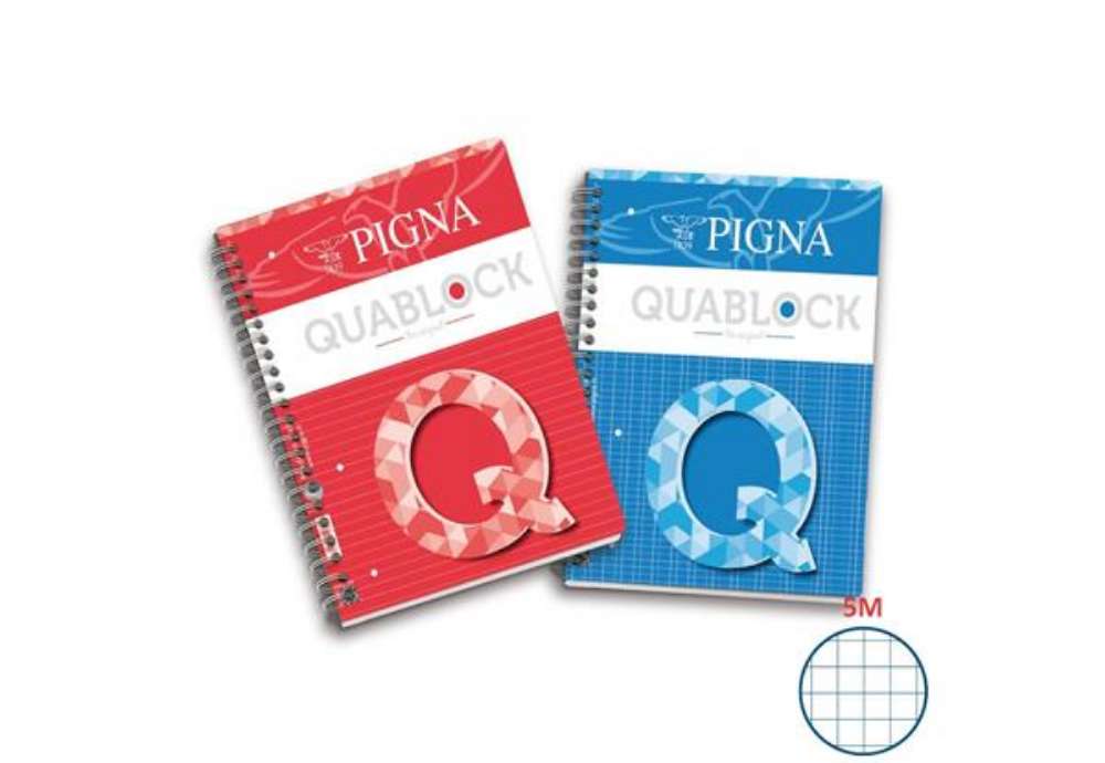 Immagine di Blocco spiralato 120 fogli Pigna Quablock a 4 fori A4 5mm 02000015M