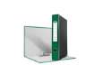 Immagine di Registratore con custodia Esselte G54 Eurofile protocollo dorso 5 cm cartone rivestito in PP verde -