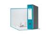 Immagine di Registratore con custodia Esselte G55 Eurofile protocollo dorso 8 cm cartone rivestito in PP turches