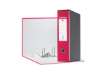 Immagine di Registratore con custodia Esselte G55 Eurofile protocollo dorso 8 cm cartone rivestito in PP fucsia