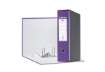 Immagine di Registratore con custodia Esselte G55 Eurofile protocollo dorso 8 cm cartone rivestito in PP  lilla