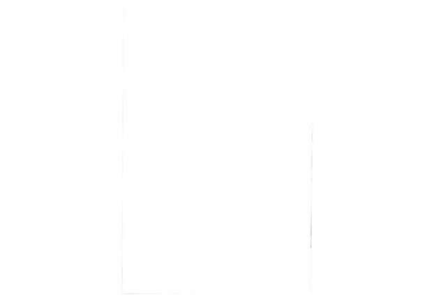Immagine di Pouches per plastificatrici Fellowes Standard Capture125 finitura lucida - 2x125 µm - A2 - Conf. 50